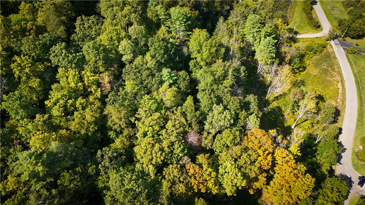 0 Worden Road Waverly, NY 14892 - Photo 35 of 42