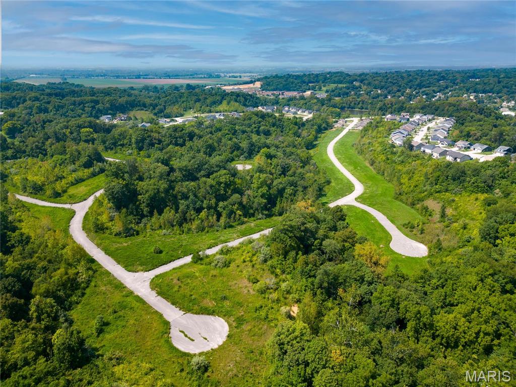 0 Walker Meadows Caseyville, IL 62232 - Photo 6 of 10