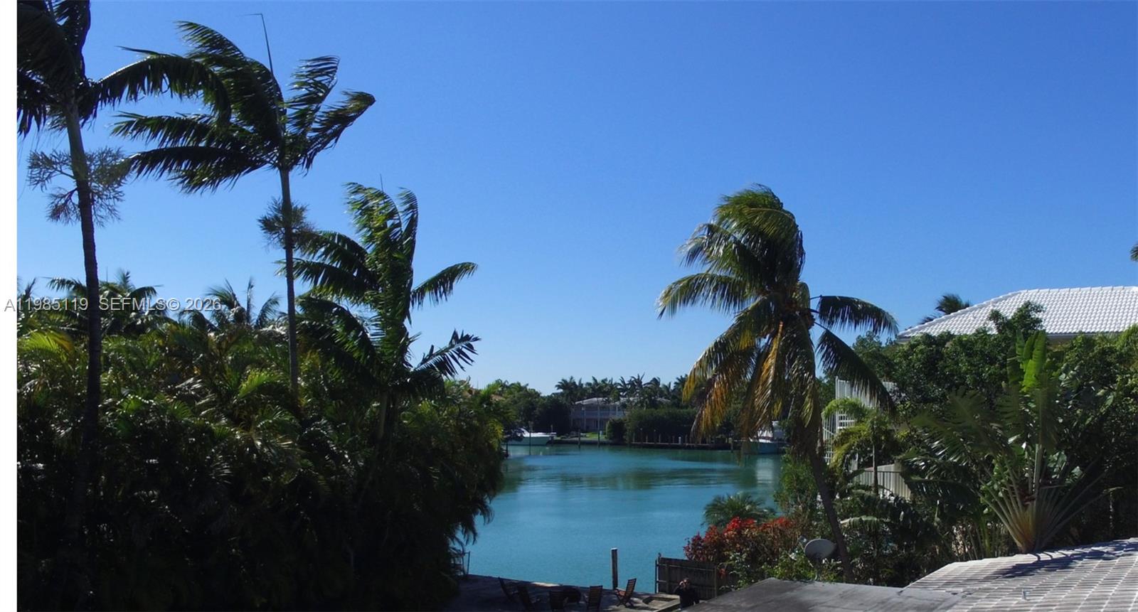 a view of a lake in a forest