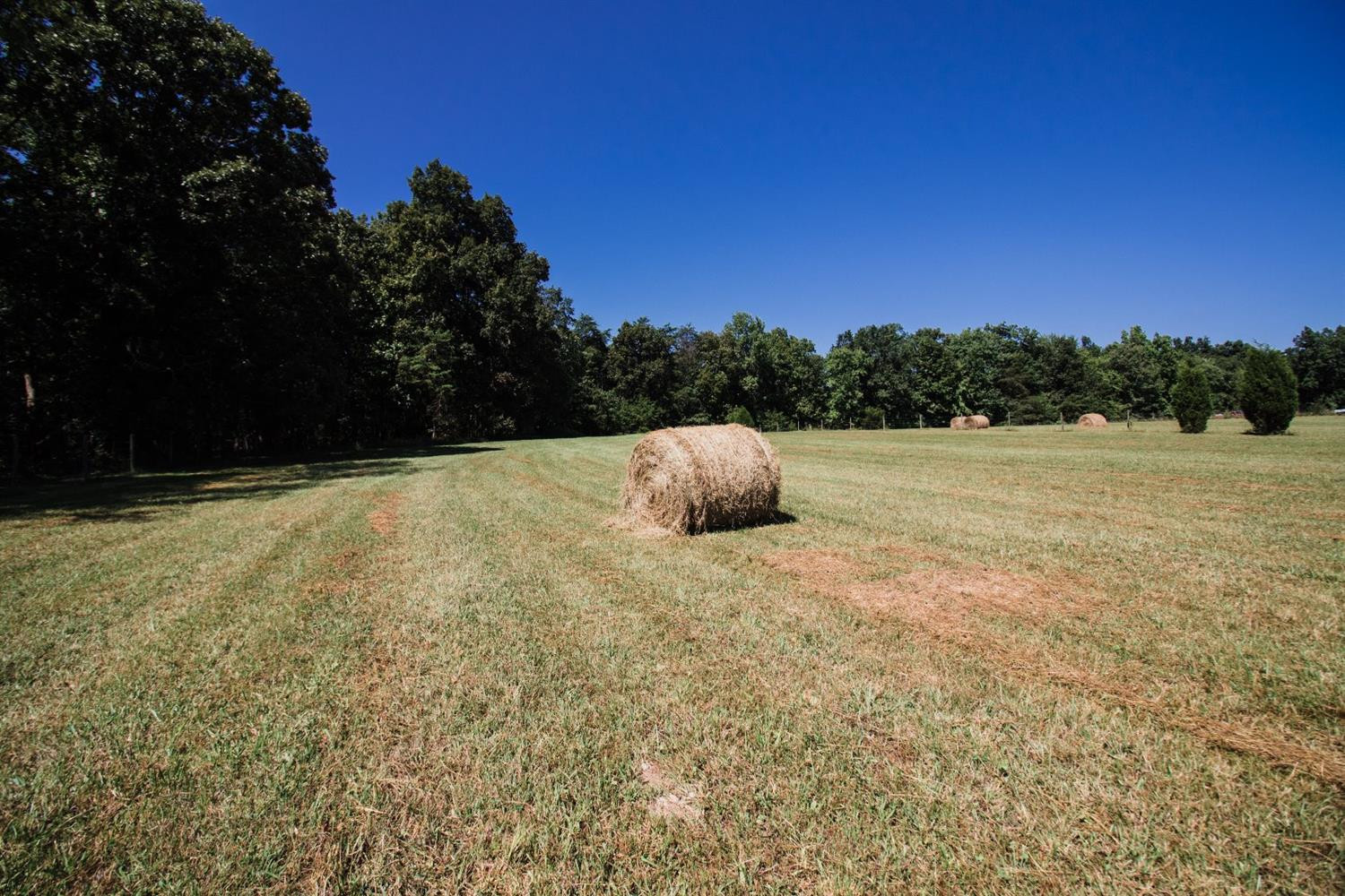 1022 Science Ridge Road Jeffersonville, KY 40337 - Photo 55 of 65 Listing Photo