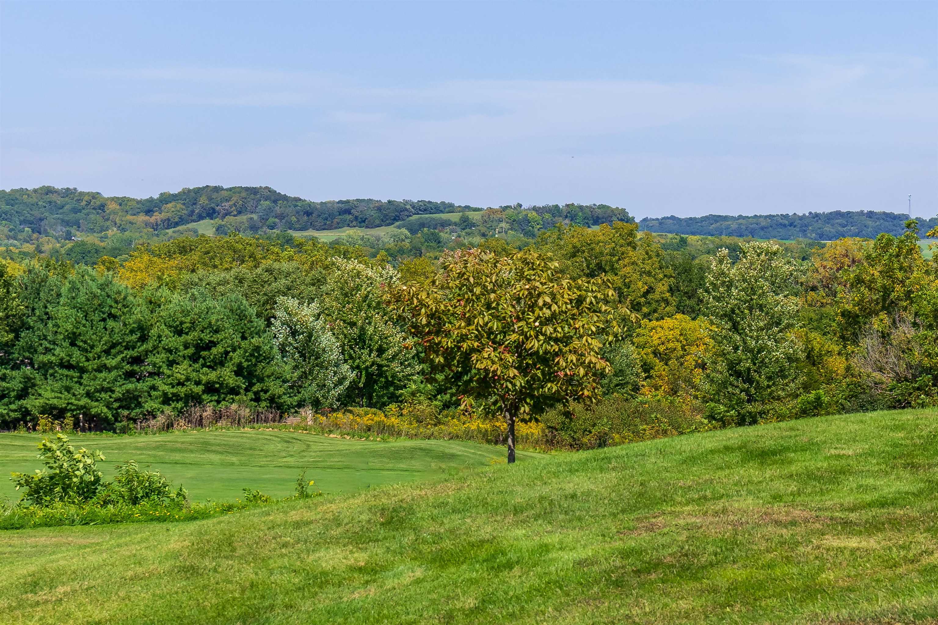 26 Poplar Ridge Galena, IL 61036 - Photo 55 of 55 a view of a field with a tree in the background