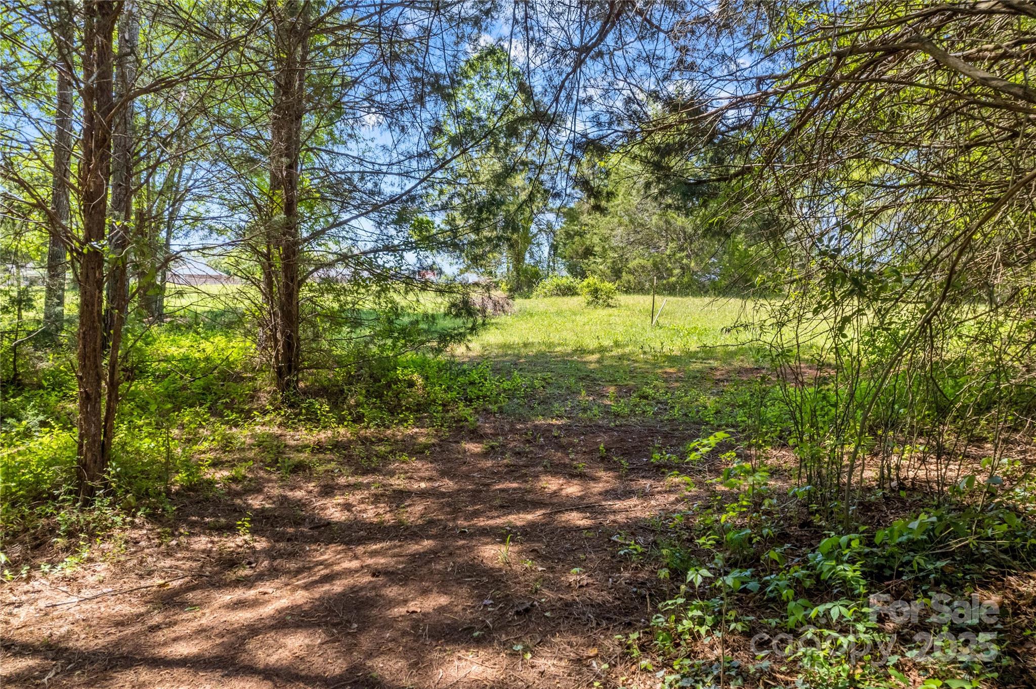 160 Ranchway Mocksville, NC 27028 - Photo 18 of 24 a big yard with lots of green space and house in background