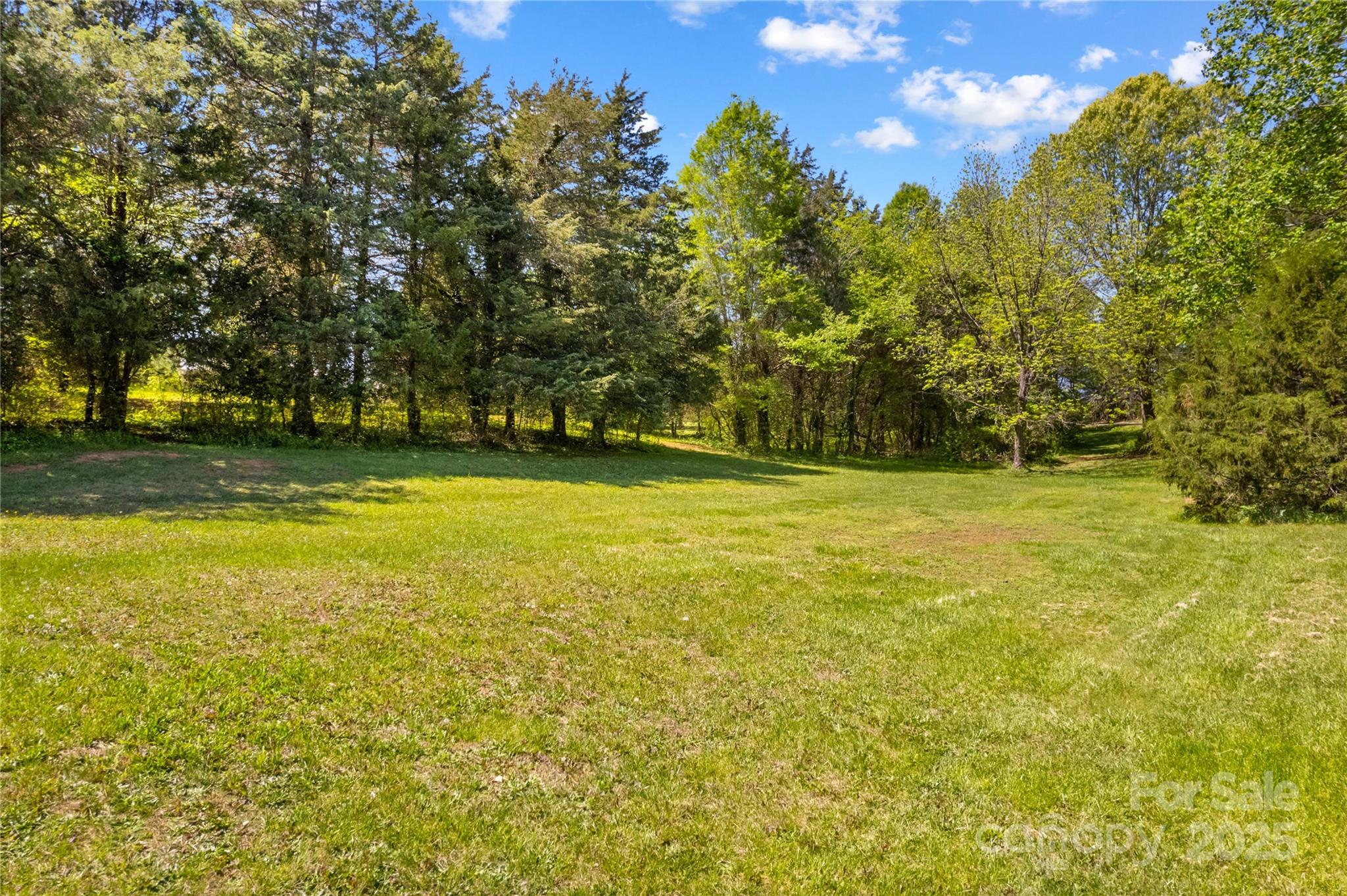 160 Ranchway Mocksville, NC 27028 - Photo 19 of 24 a view of a green yard