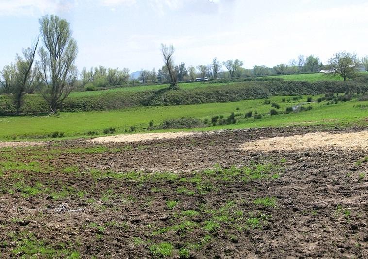 5.5-ac Webb Road Anderson, CA 96007 - Photo 18 of 29 a view of a field with green space