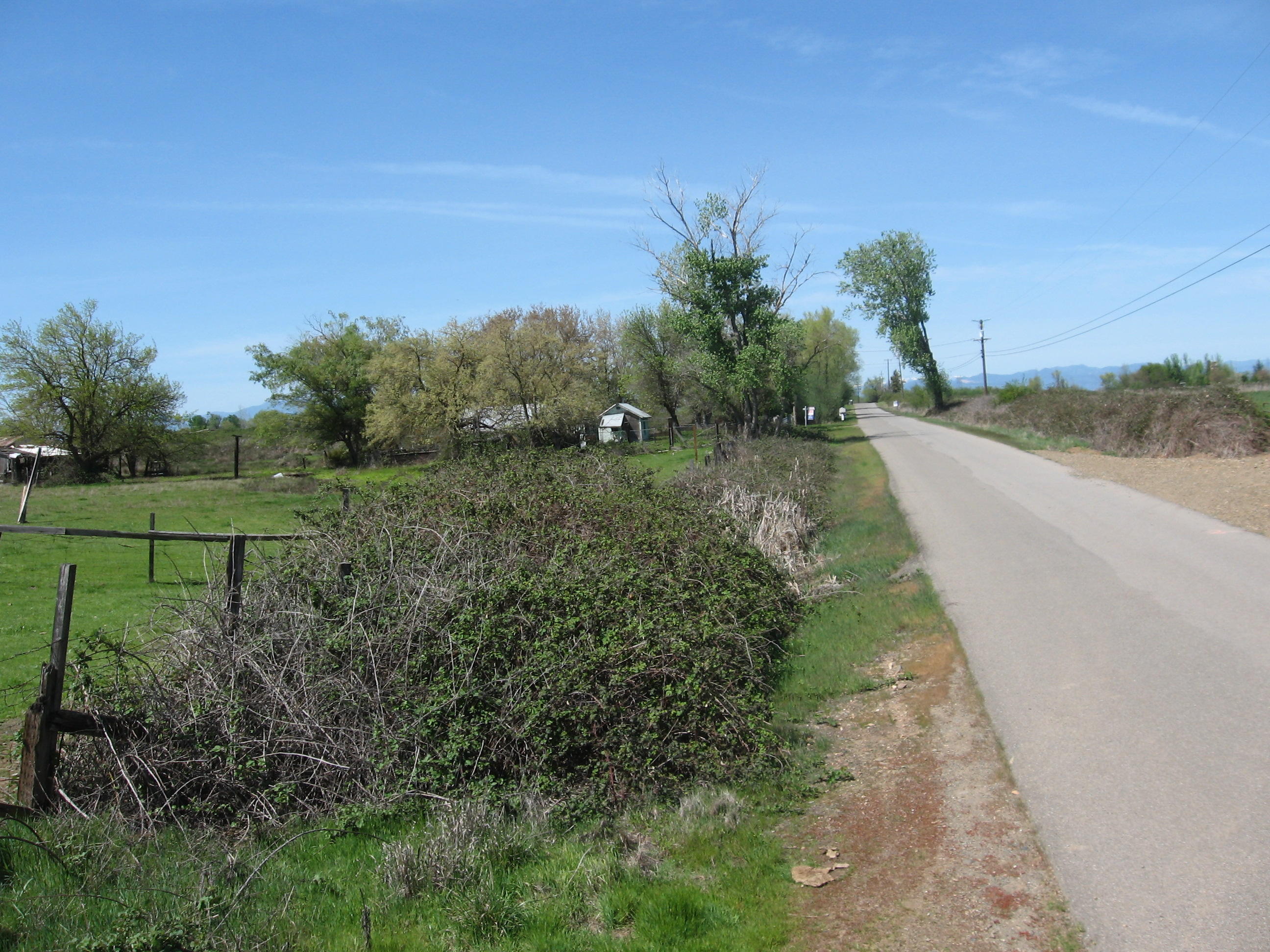 5.5-ac Webb Road Anderson, CA 96007 - Photo 19 of 29 a view of a park