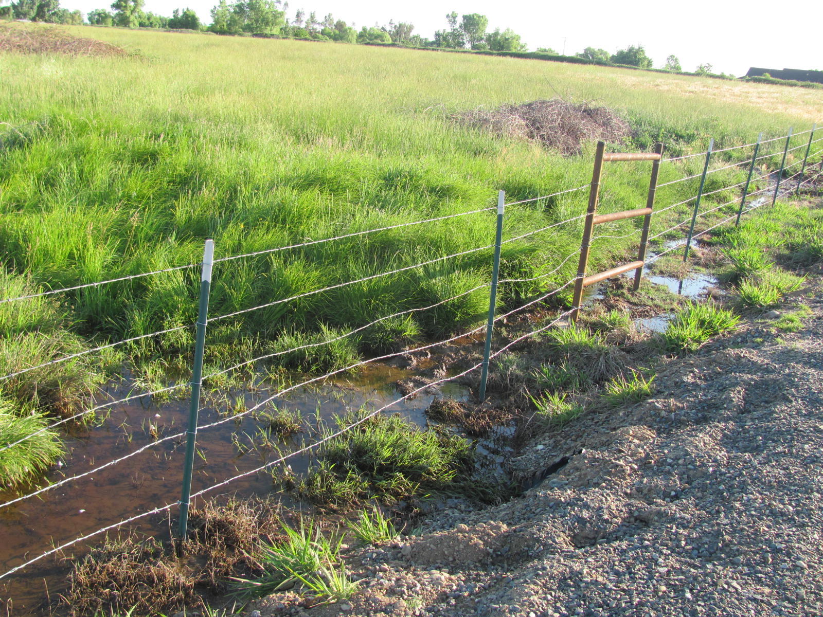 5.5-ac Webb Road Anderson, CA 96007 - Photo 20 of 29 a view of a garden
