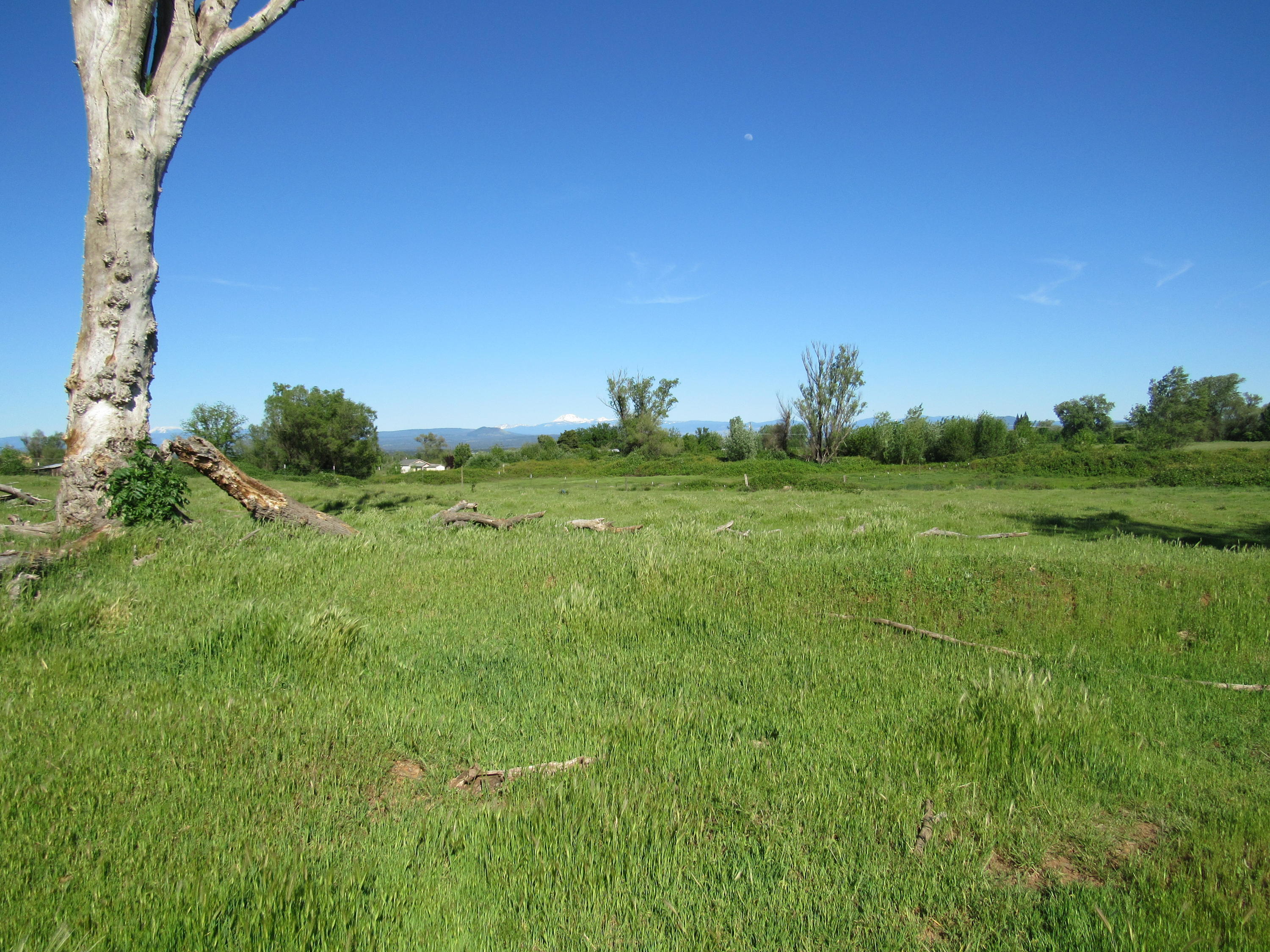 5.5-ac Webb Road Anderson, CA 96007 - Photo 24 of 29 a view of a lush green space