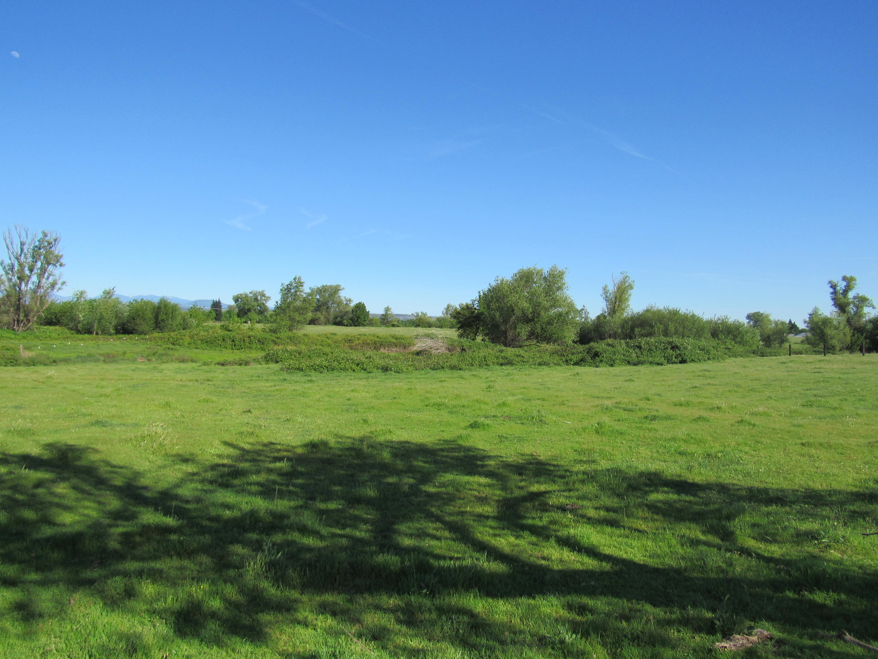 5.5-ac Webb Road Anderson, CA 96007 - Photo 25 of 29 a view of an outdoor space and a yard
