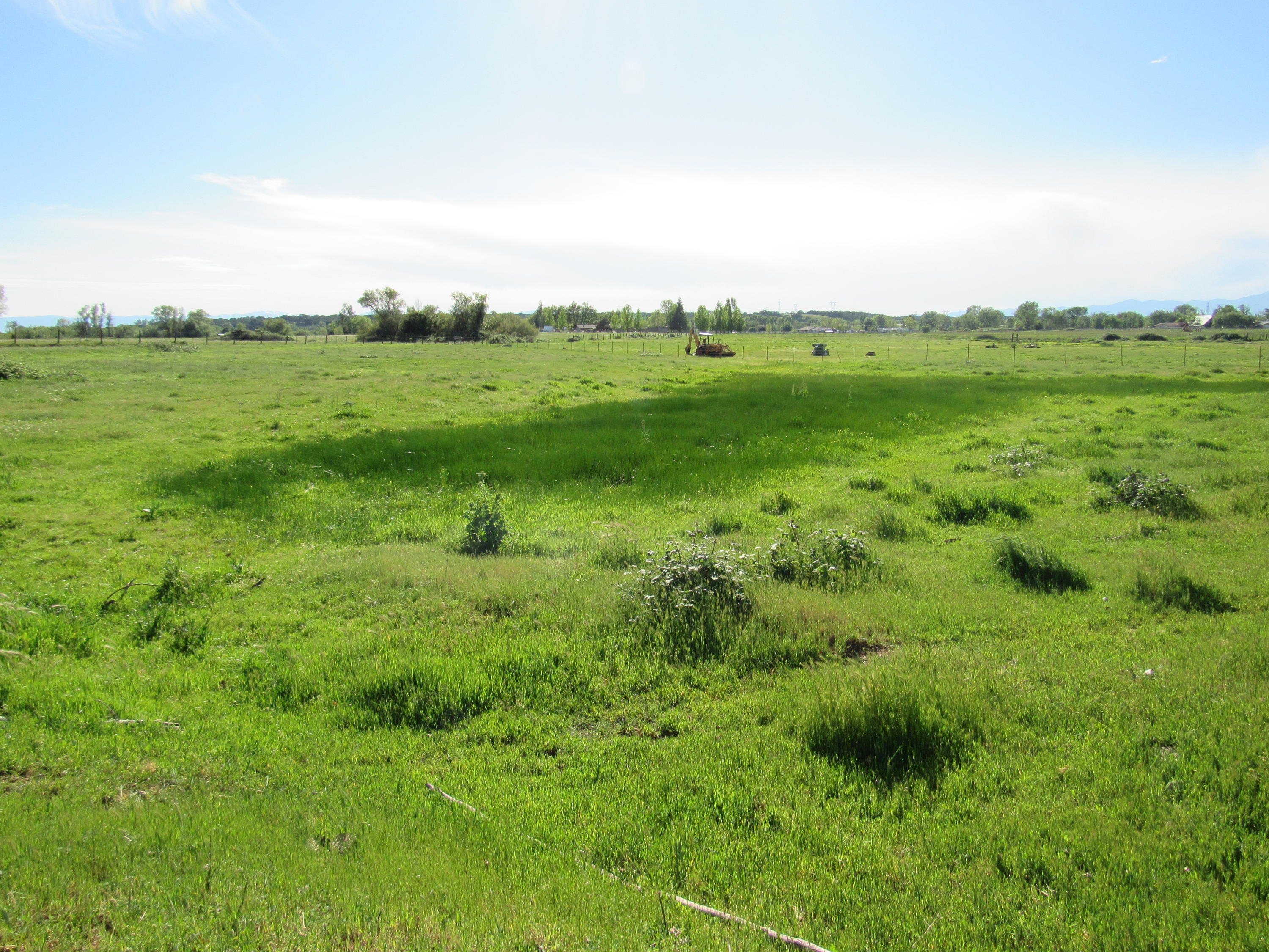 5.5-ac Webb Road Anderson, CA 96007 - Photo 26 of 29 a view of a green field with an trees