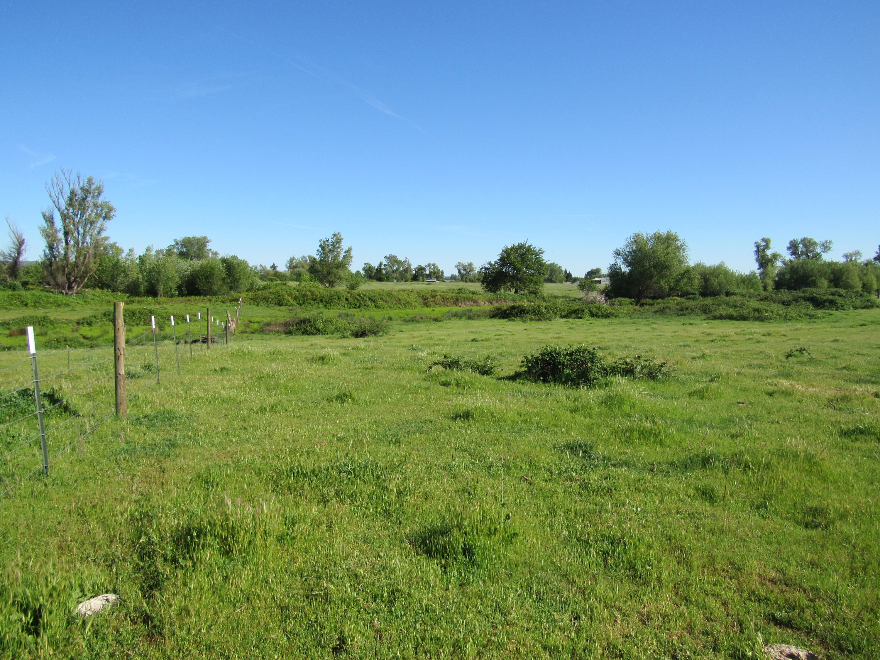 5.5-ac Webb Road Anderson, CA 96007 - Photo 27 of 29 a view of a field of grass and trees