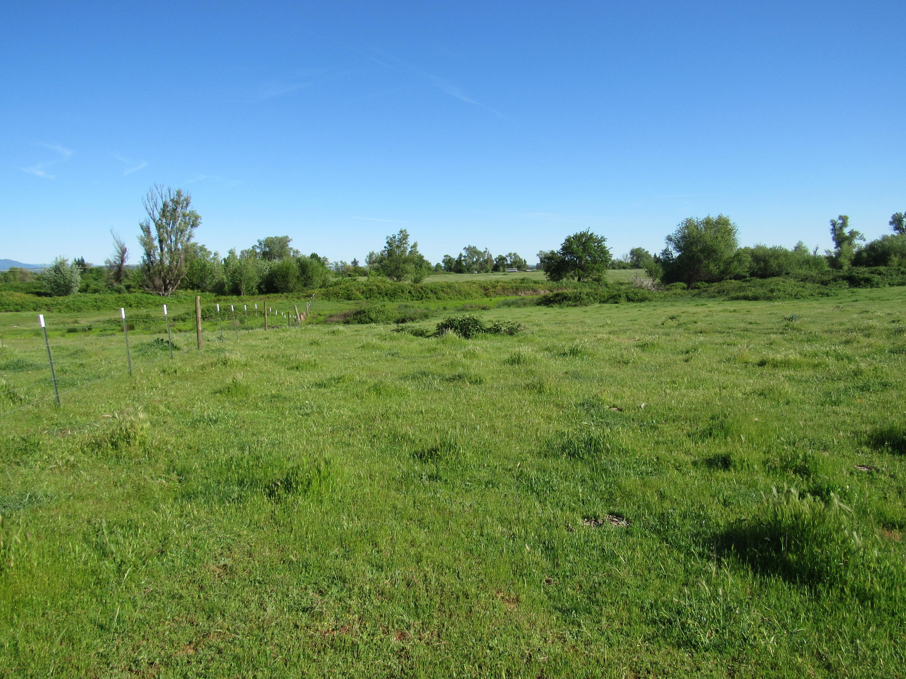 5.5-ac Webb Road Anderson, CA 96007 - Photo 28 of 29 a backyard of a house with lots of green space