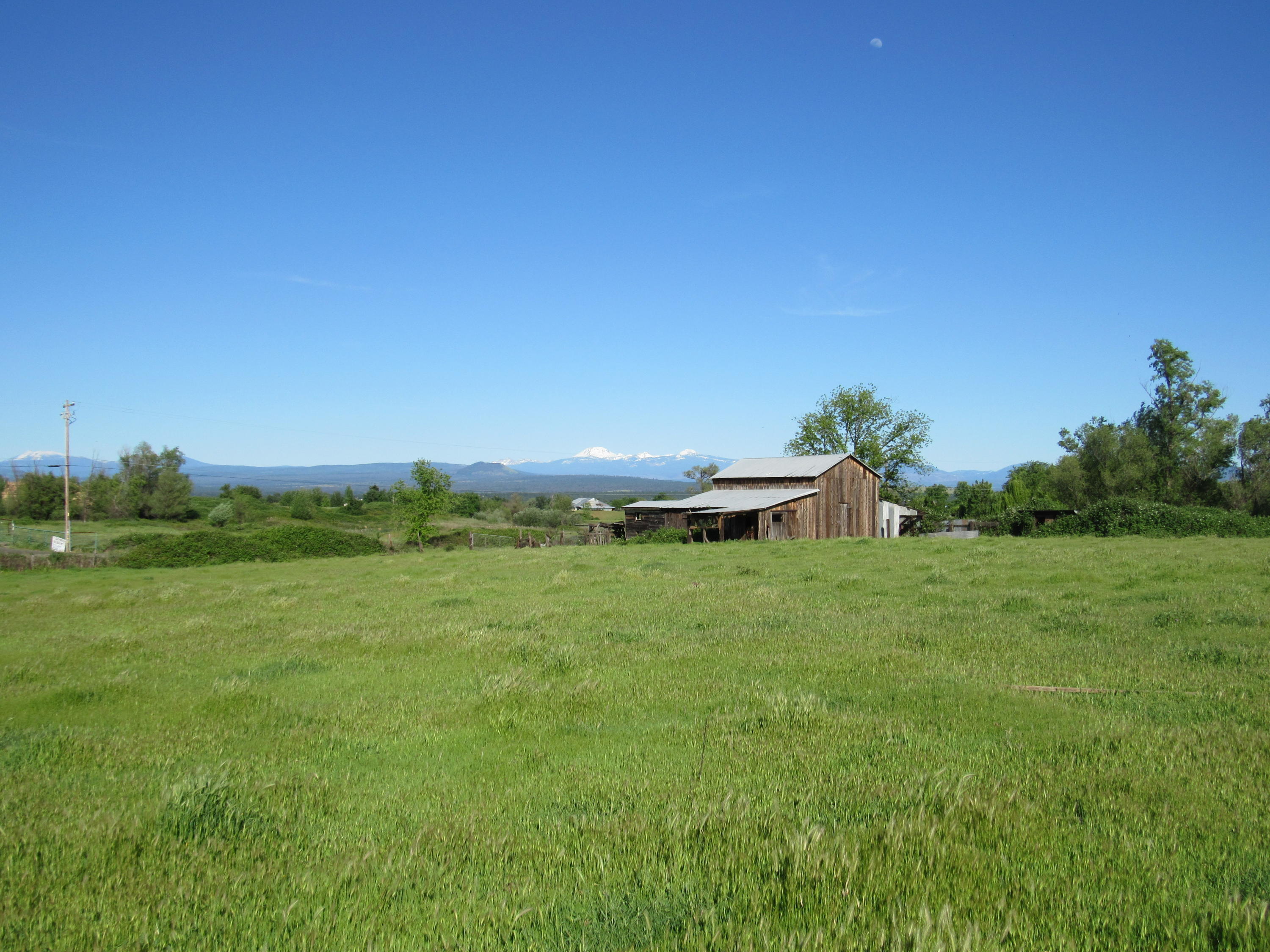 5.5-ac Webb Road Anderson, CA 96007 - Photo 4 of 29 a view of an outdoor space and yard