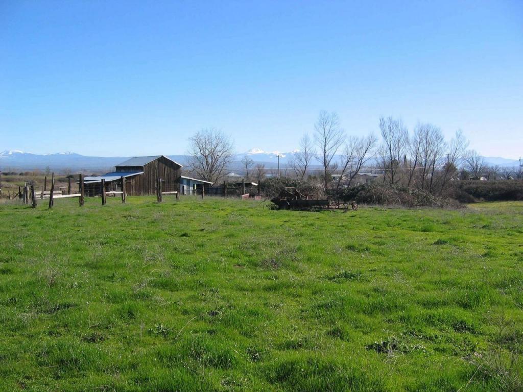 5.5-ac Webb Road Anderson, CA 96007 - Photo 7 of 29 a view of field with grass and trees