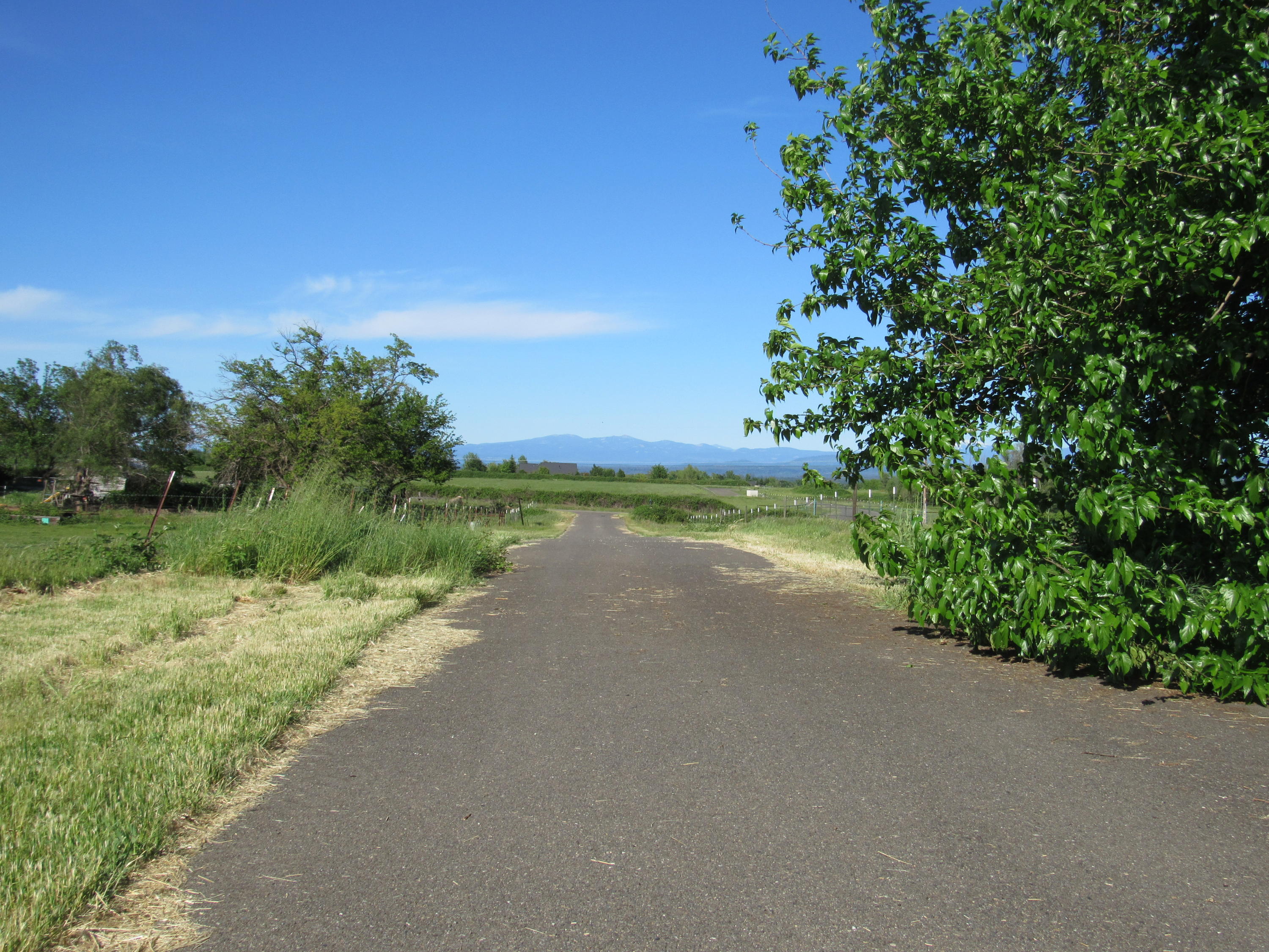 5.5-ac Webb Road Anderson, CA 96007 - Photo 8 of 29 a view of a road with a yard