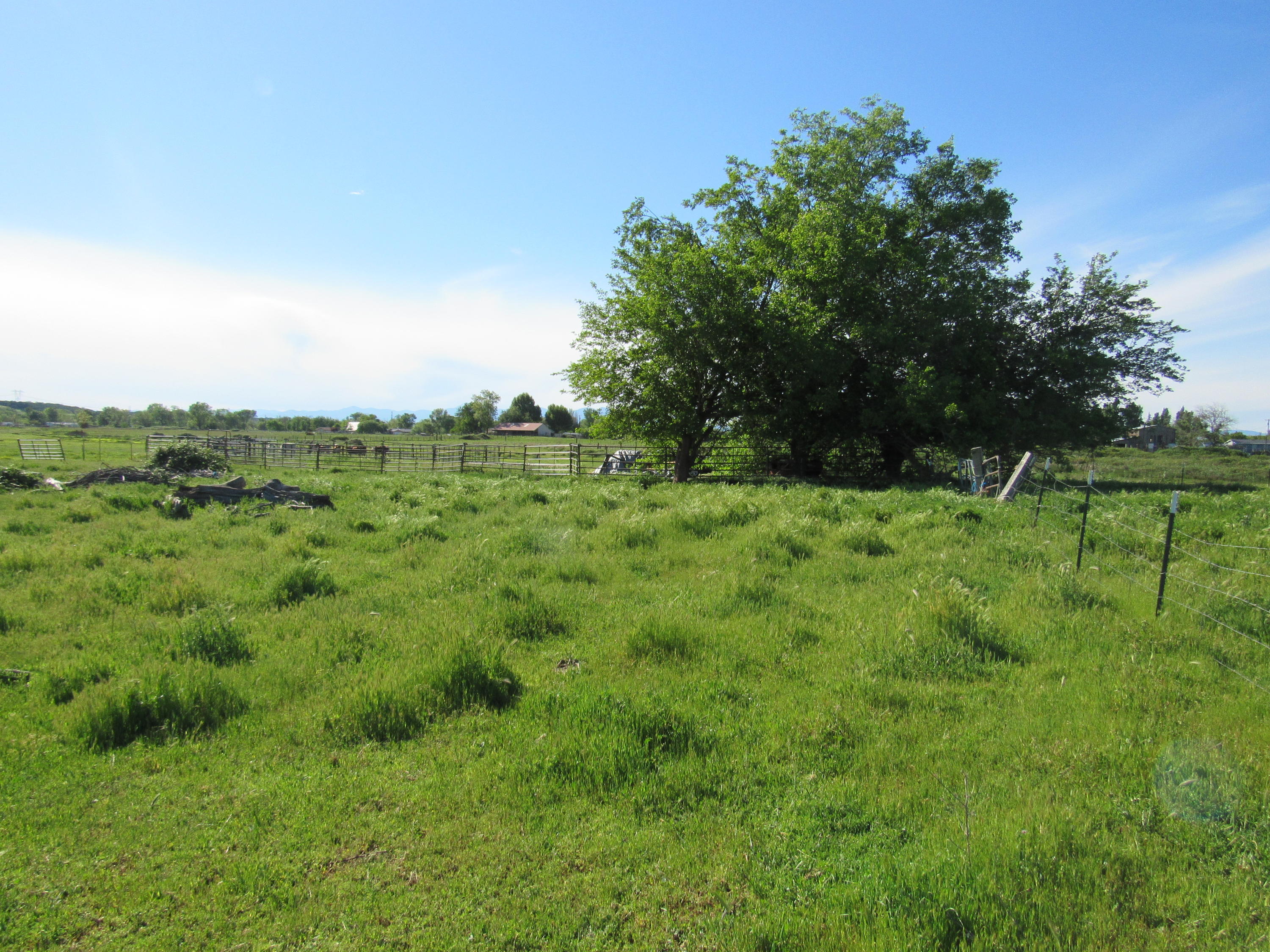 5.5-ac Webb Road Anderson, CA 96007 - Photo 9 of 29 a view of a green field with lots of bushes