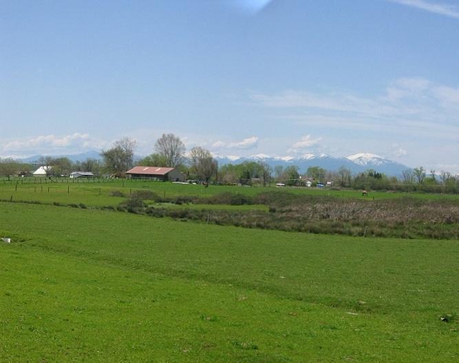 5.5-ac Webb Road Anderson, CA 96007 - Photo 10 of 29 a view of a grassy field with trees