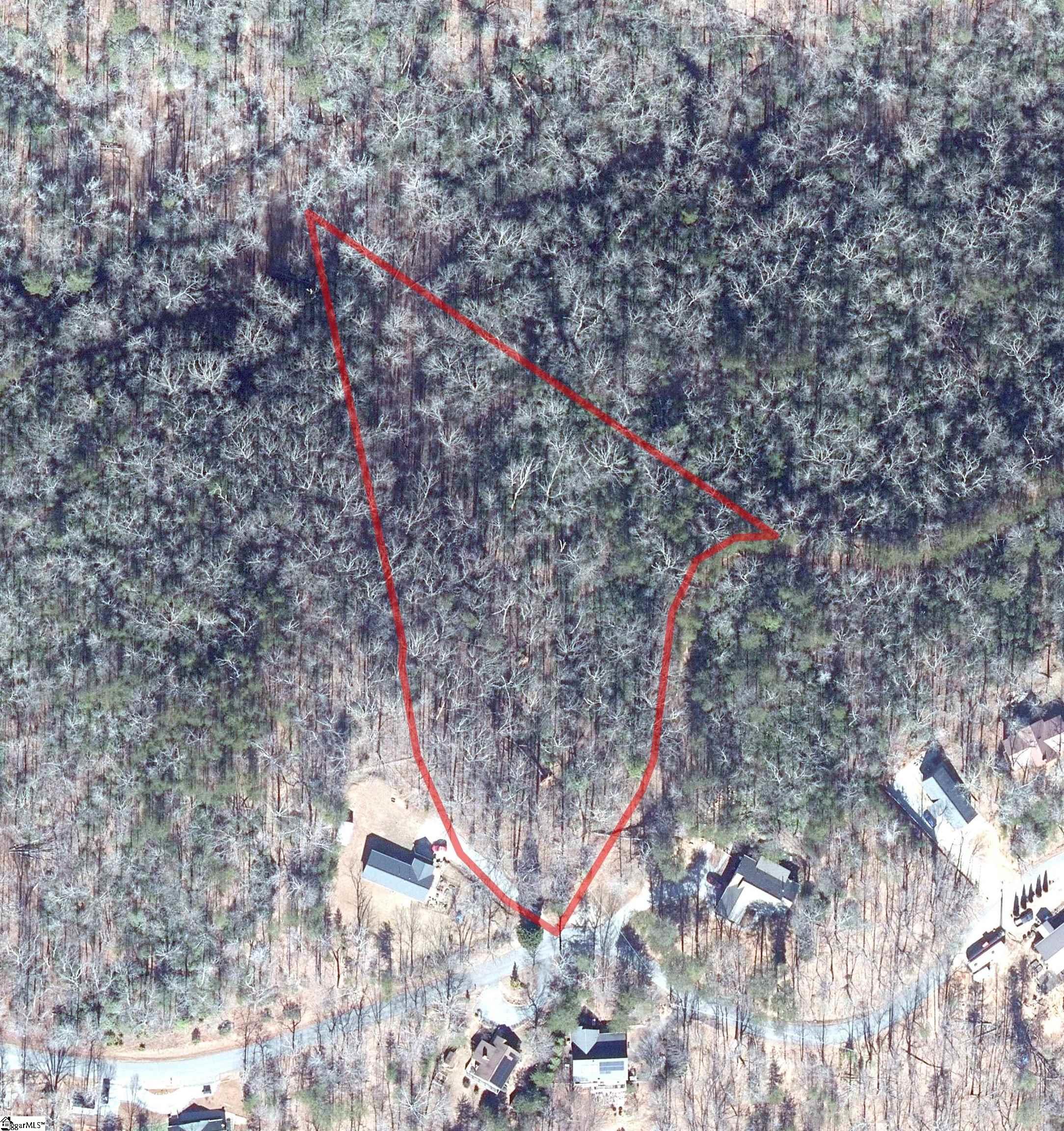 0 Caledonia Road Landrum, SC 29356 - Photo 1 of 8