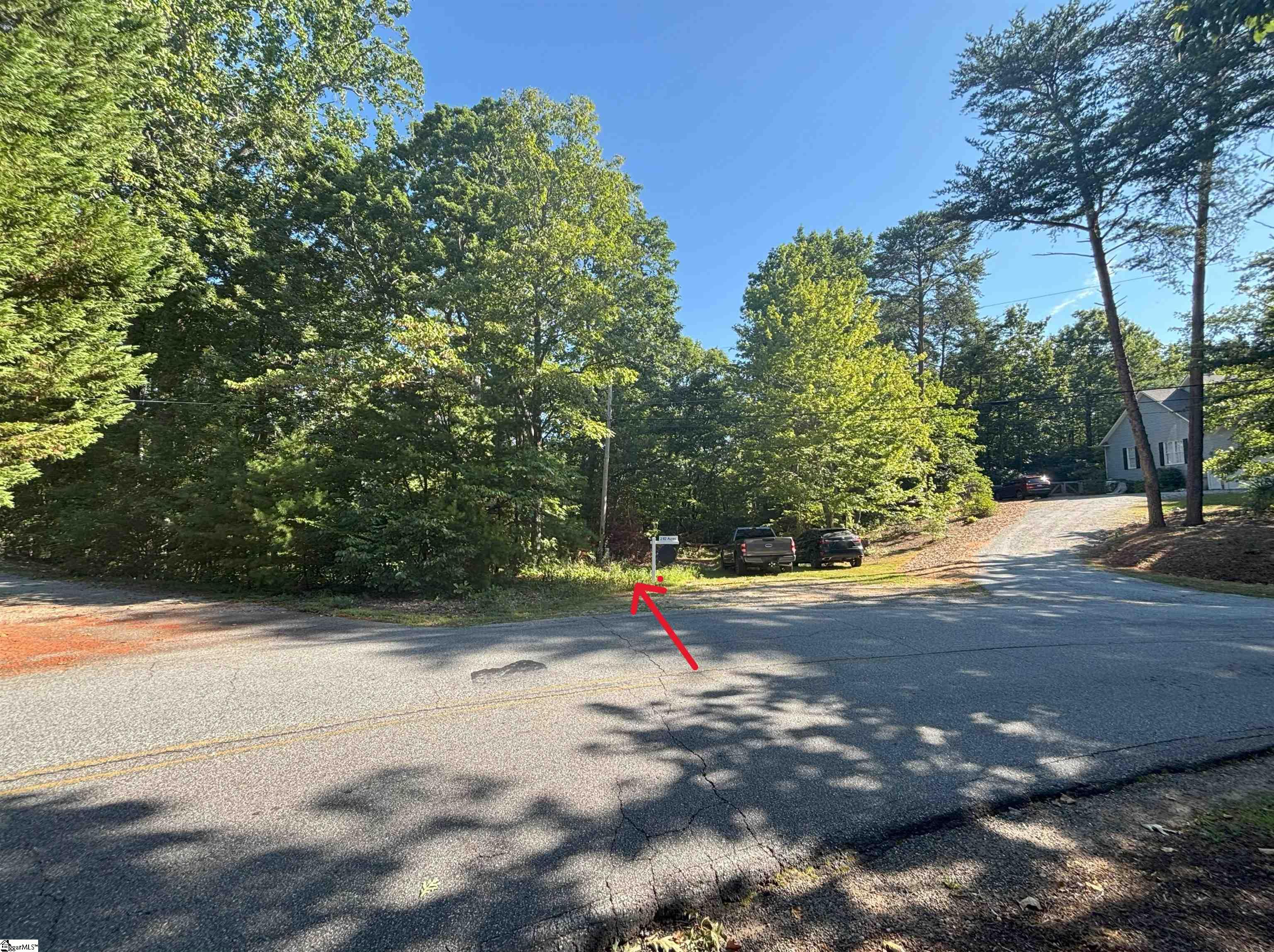 0 Caledonia Road Landrum, SC 29356 - Photo 2 of 8