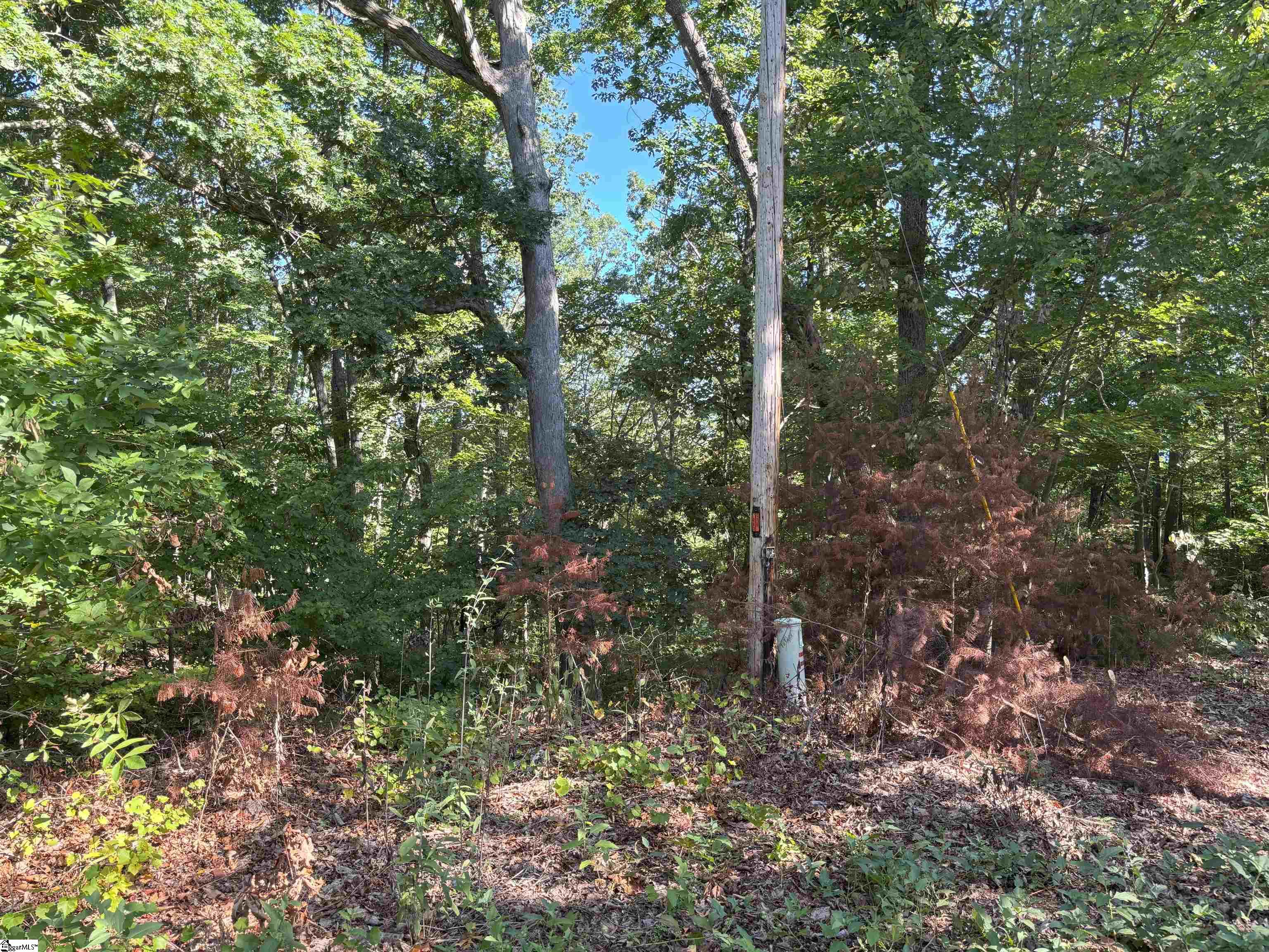 0 Caledonia Road Landrum, SC 29356 - Photo 3 of 8