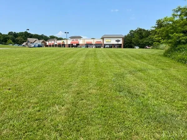 a view of a lush green space