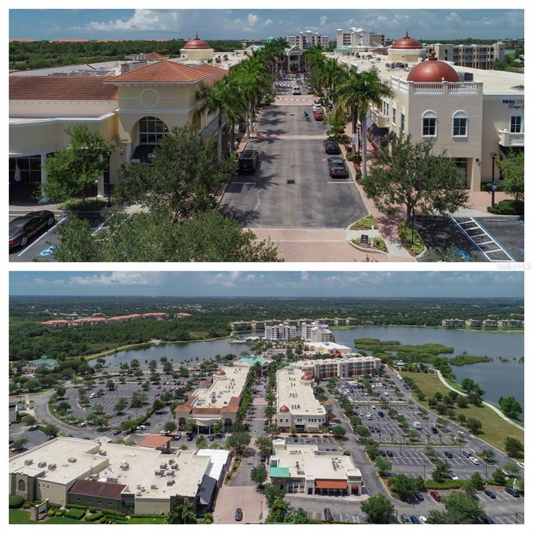 15615 Lemon Fish Drive Lakewood Ranch, FL 34202 - Photo 42 of 48