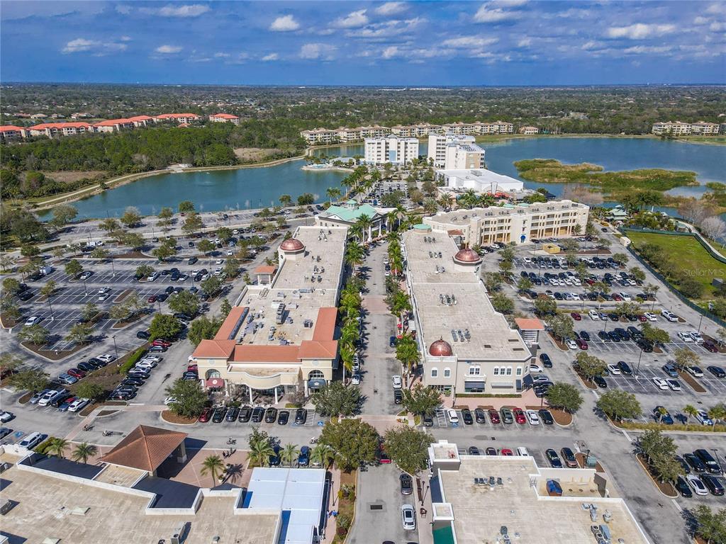 15615 Lemon Fish Drive Lakewood Ranch, FL 34202 - Photo 45 of 48