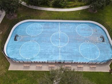 15615 Lemon Fish Drive Lakewood Ranch, FL 34202 - Photo 48 of 48