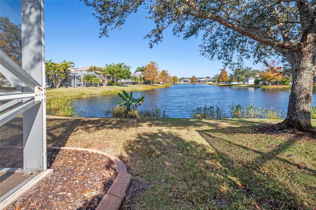 15615 Lemon Fish Drive Lakewood Ranch, FL 34202 - Photo 8 of 48