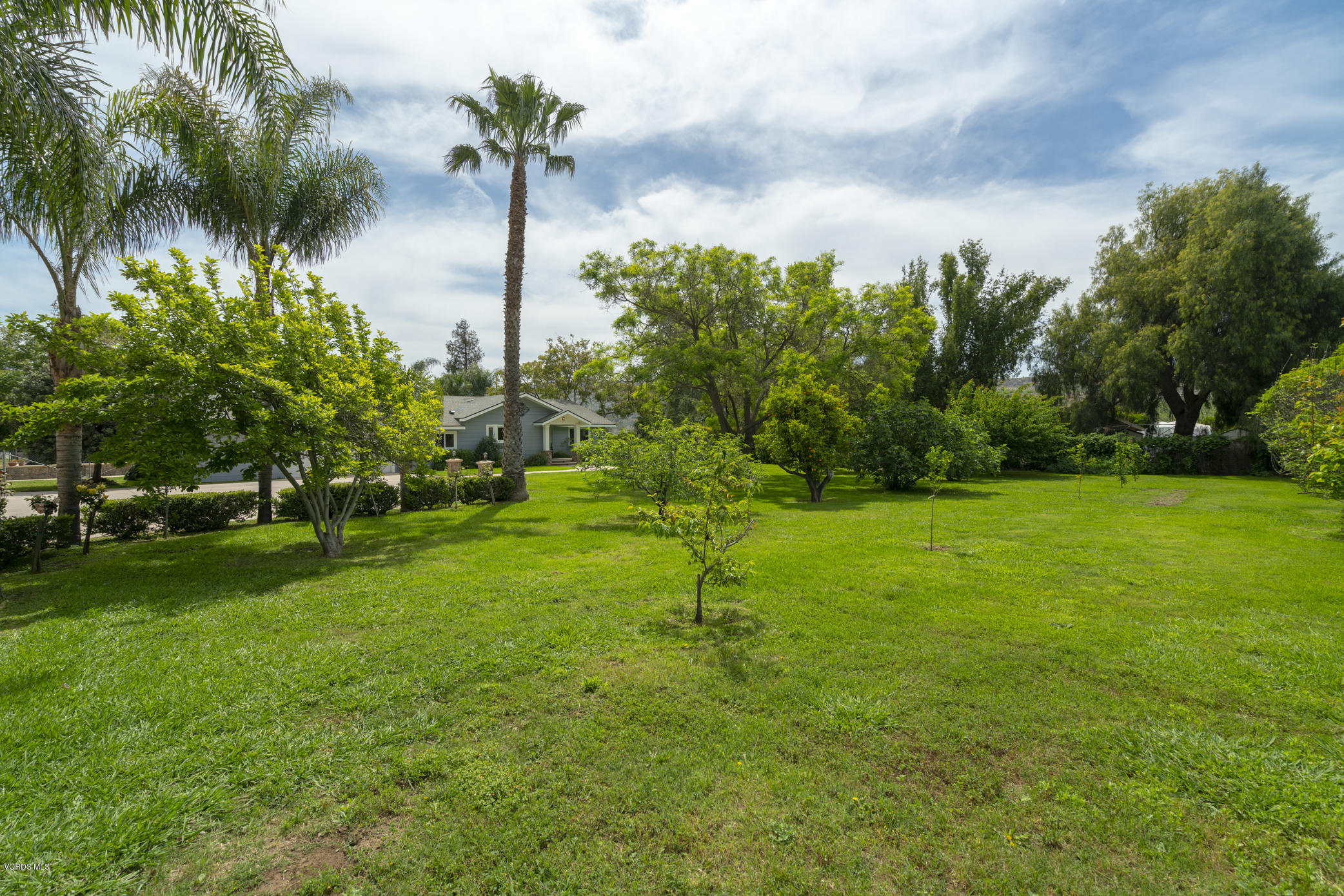 6576 La Cumbre Road Somis, CA 93066 - Photo 4 of 43 _DSC6246-HDR