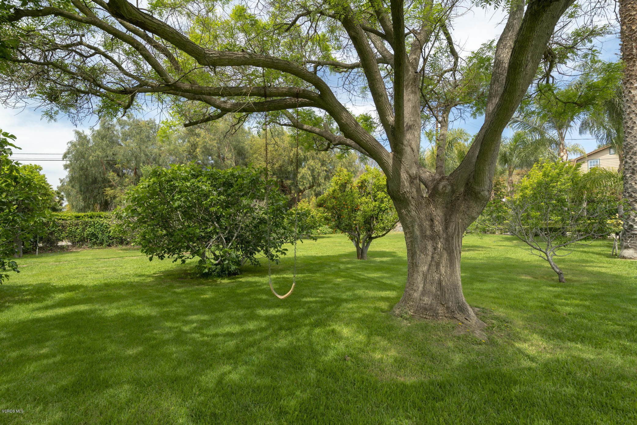 6576 La Cumbre Road Somis, CA 93066 - Photo 5 of 43 _DSC6261-HDR
