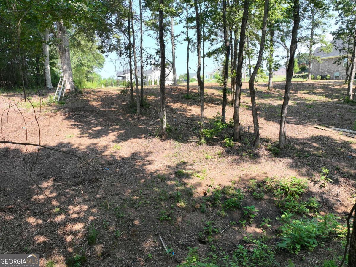 2789 Malcom Estates Ridge, Unit LOT 28 Bogart, GA 30622 - Photo 16 of 22 Gallery Image 16