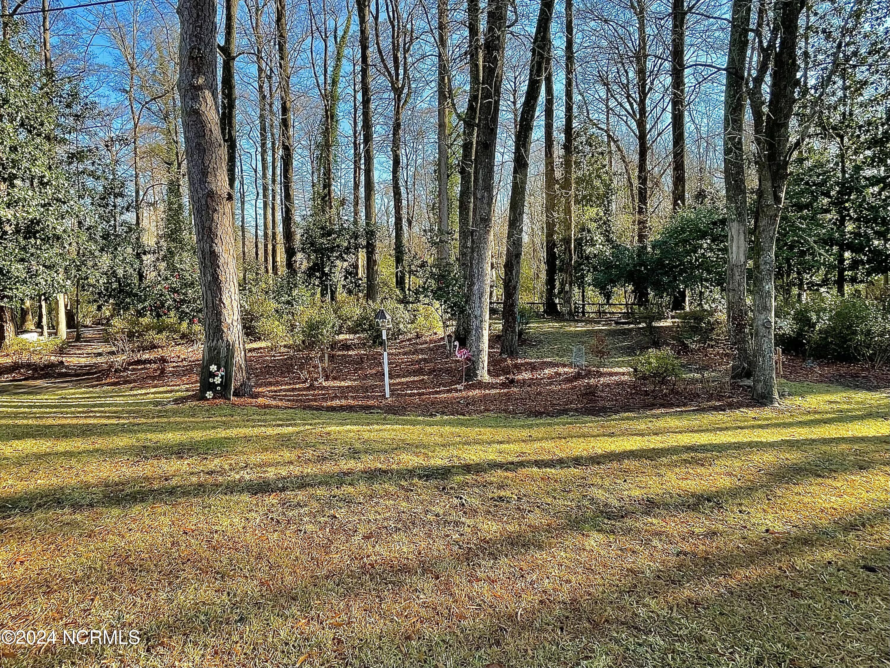310 Golf Road Plymouth, NC 27962 - Photo 8 of 69 Azaleas