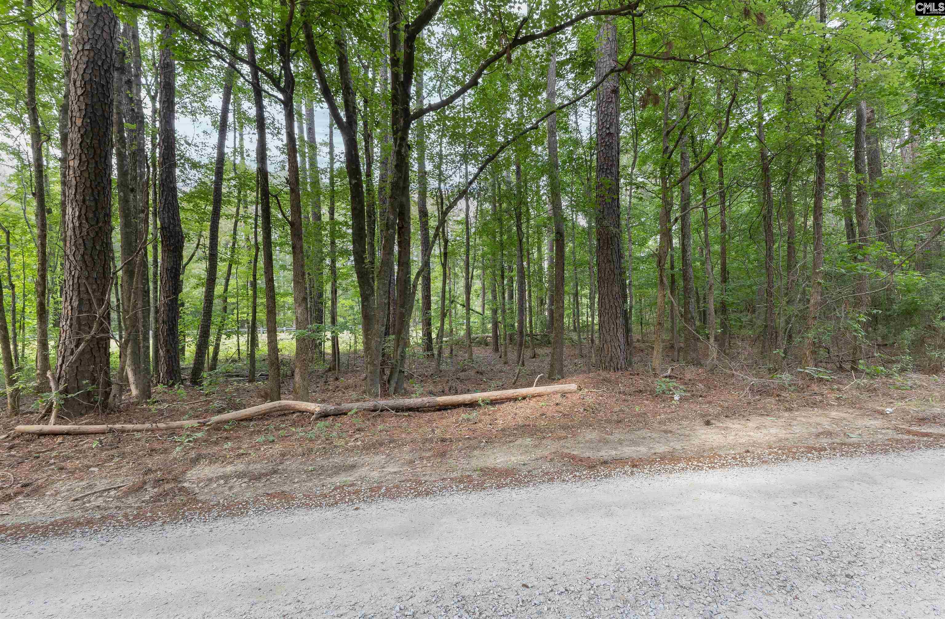 Tbd St Peters Church Road Chapin, SC 29036 - Photo 3 of 7