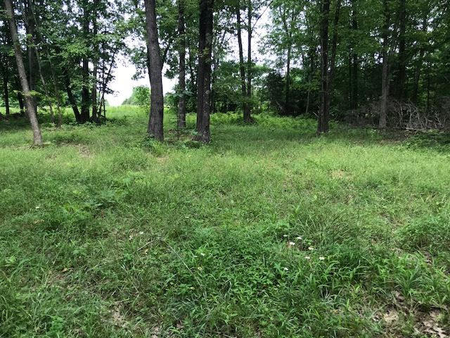 4629 Chapel Road Cynthiana, KY 41031 - Photo 21 of 30 Gallery Image 21