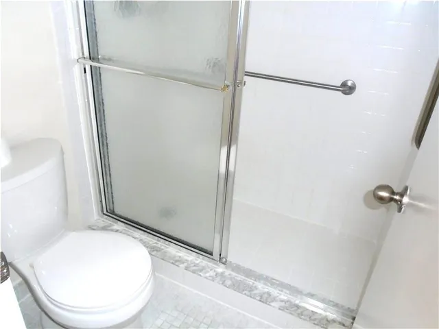 a bathroom with a toilet and a shower