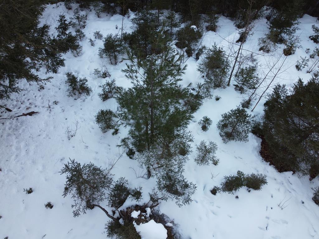 Lot 43 Gibraltar Road Fish Creek, WI 54212 - Photo 13 of 18