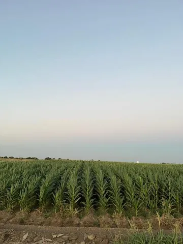 $594,999 | 19366 South Lammers Road, Tracy, CA 95304