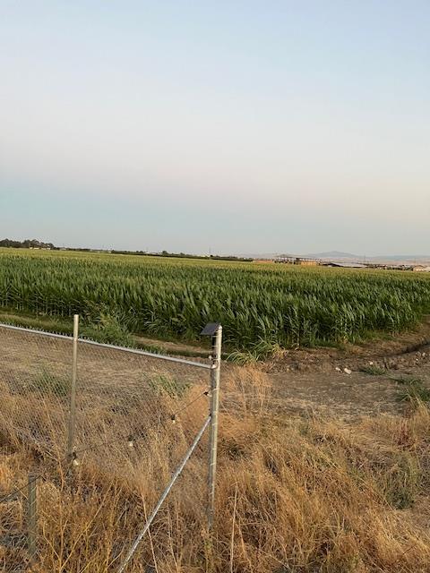 19366 South Lammers Road Tracy, CA 95304 - Photo 2 of 3