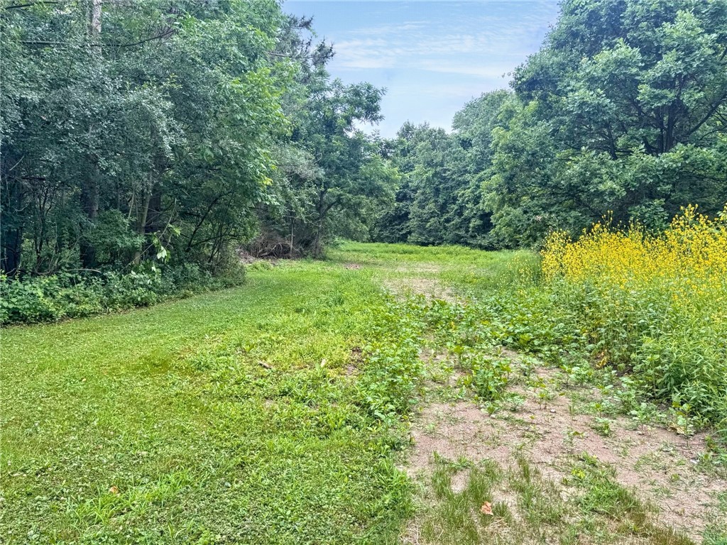 9692 Summit Street Road Pavilion, NY 14482 - Photo 23 of 33