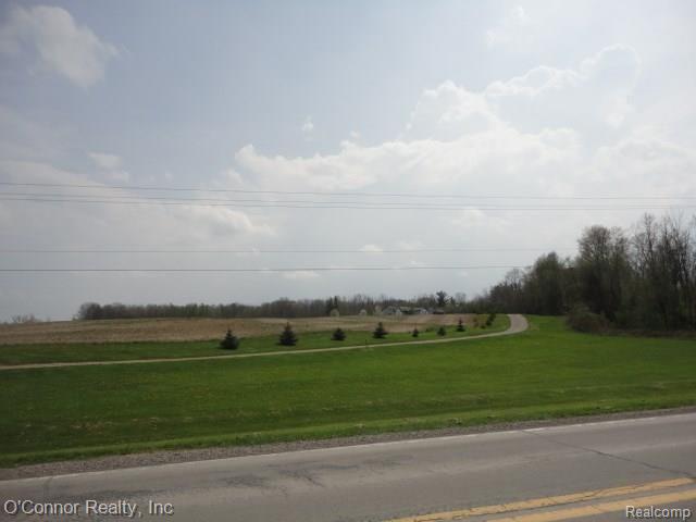 5729 Burtch Road Jeddo, MI 48032 - Photo 32 of 34 view from road 2.jpg