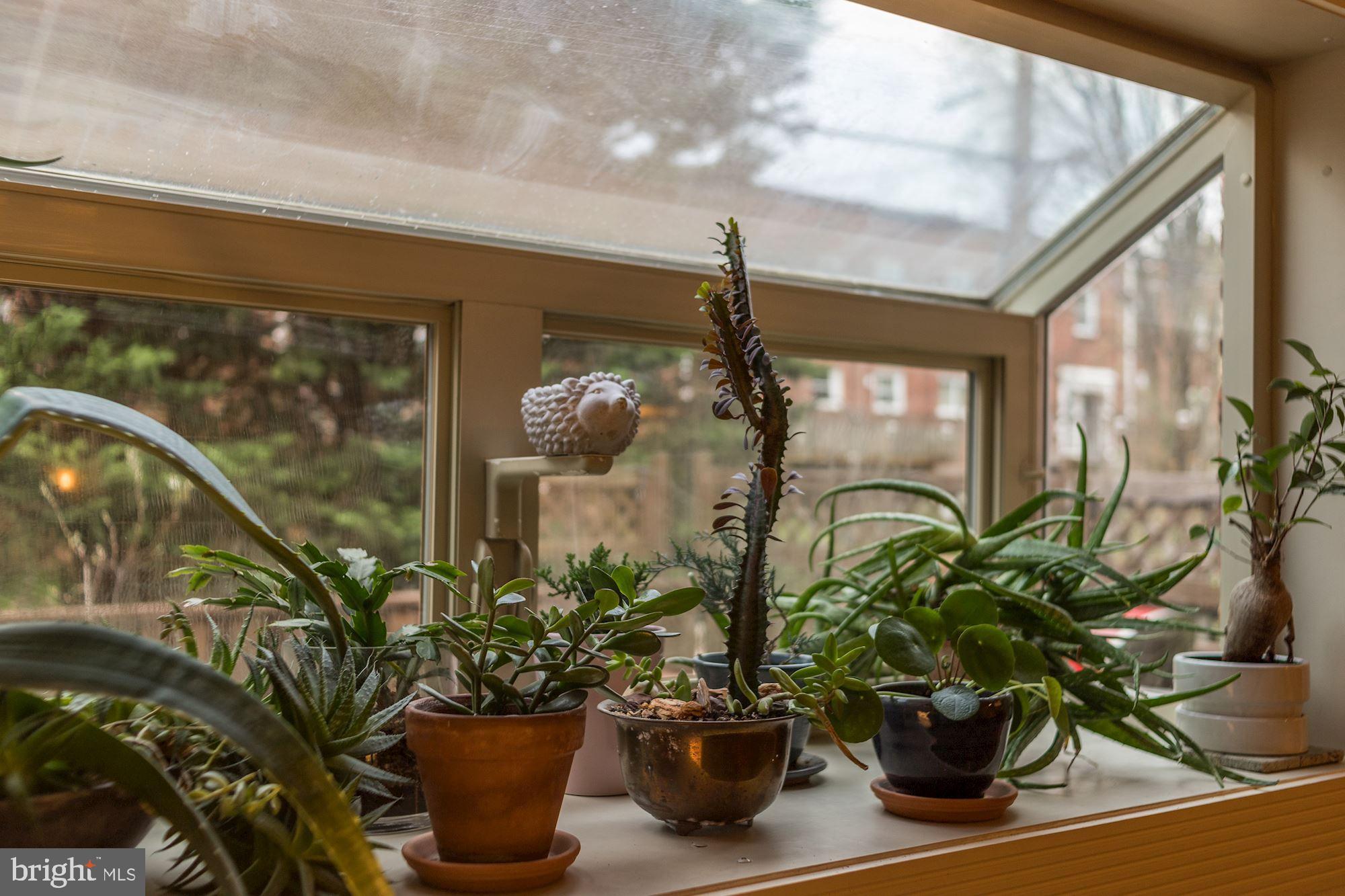 3714 Rexmere Road Baltimore, MD 21218 - Photo 24 of 39 Greenhouse Window