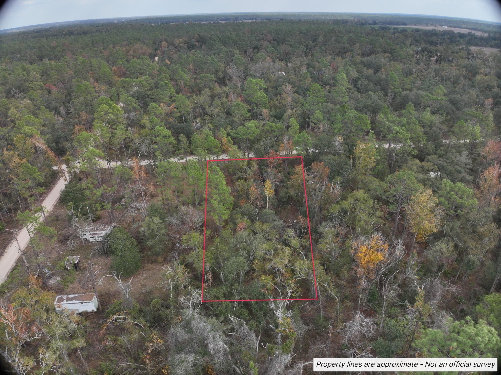 Northwest 22nd Terrace Jasper, FL 32052 - Photo 2 of 8