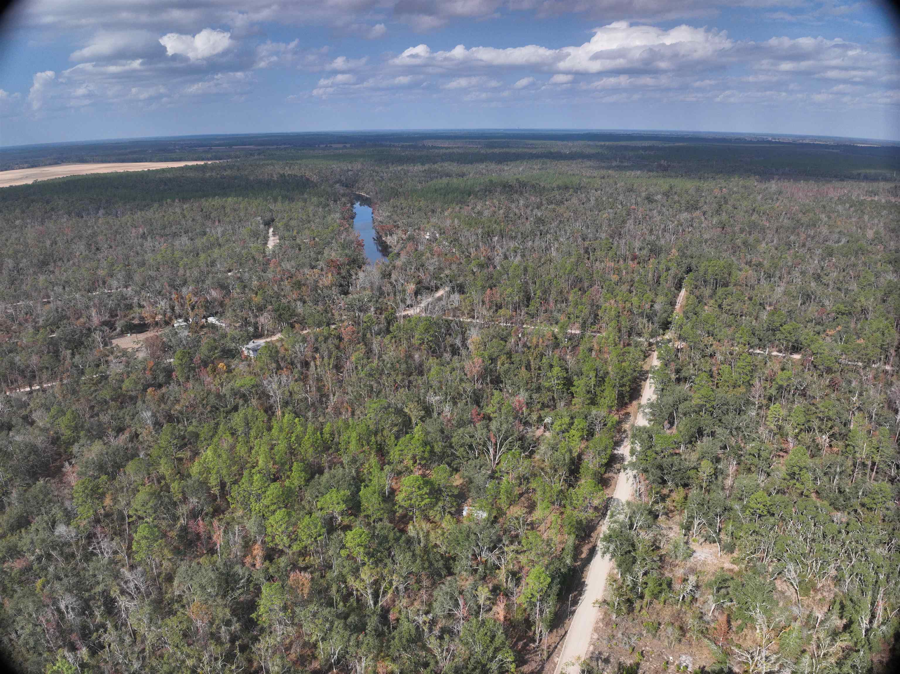 Northwest 22nd Terrace Jasper, FL 32052 - Photo 3 of 8