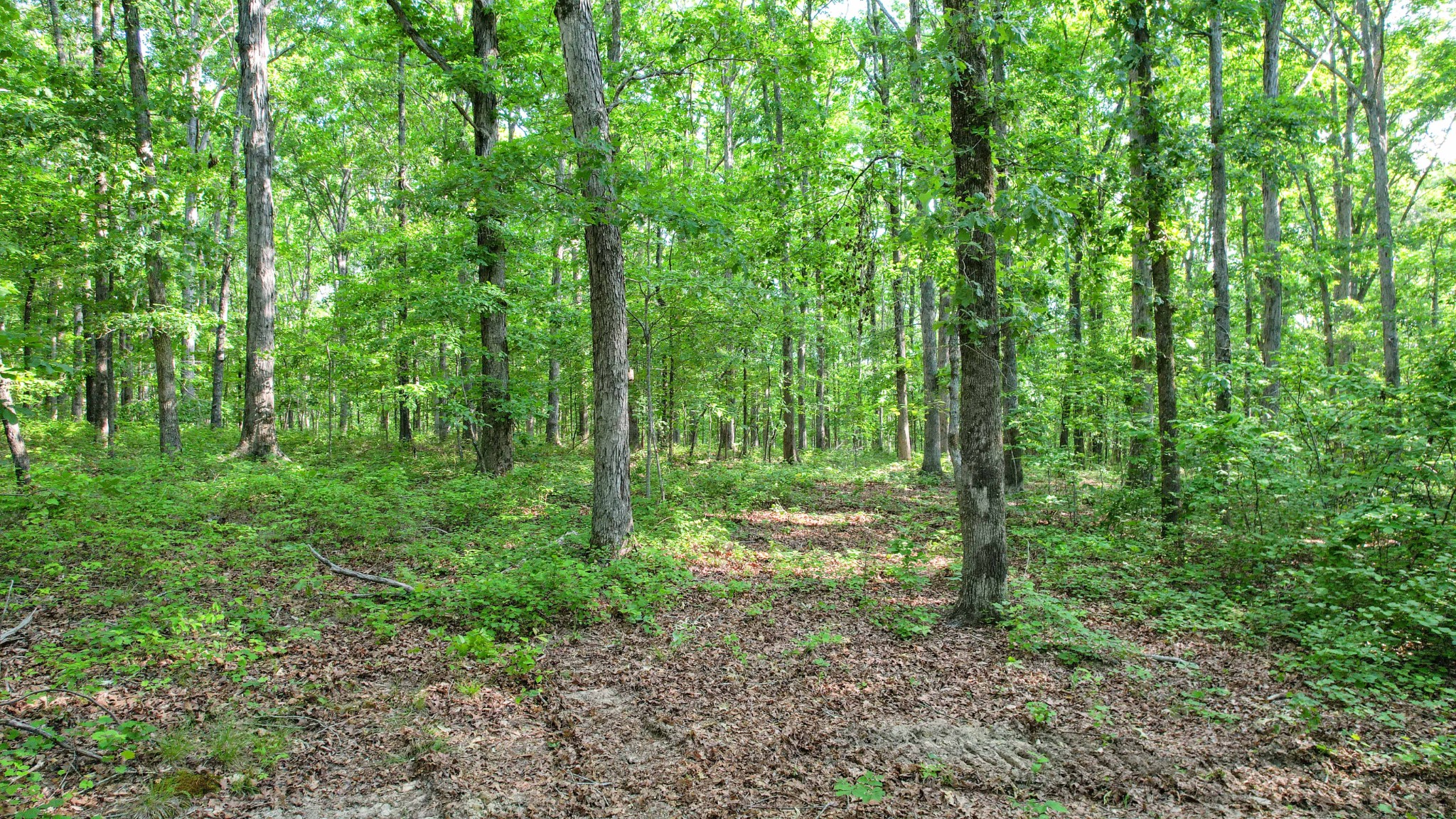 1267 Wades Branch Road Centerville, TN 37033 - Photo 59 of 73