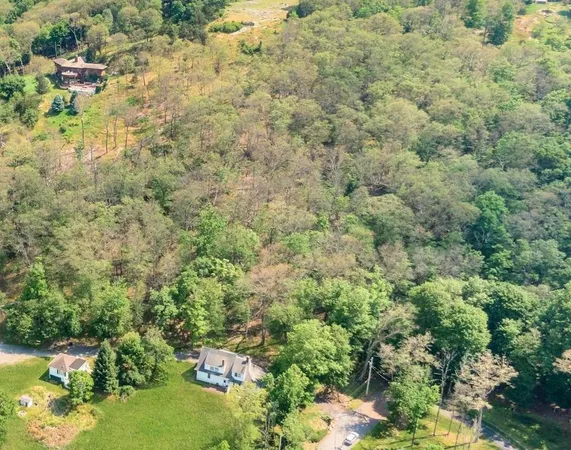 a view of a bunch of trees and bushes