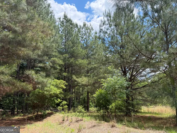 $67,200 | 8 Little Sandy Creek Road, Toomsboro, GA 31090