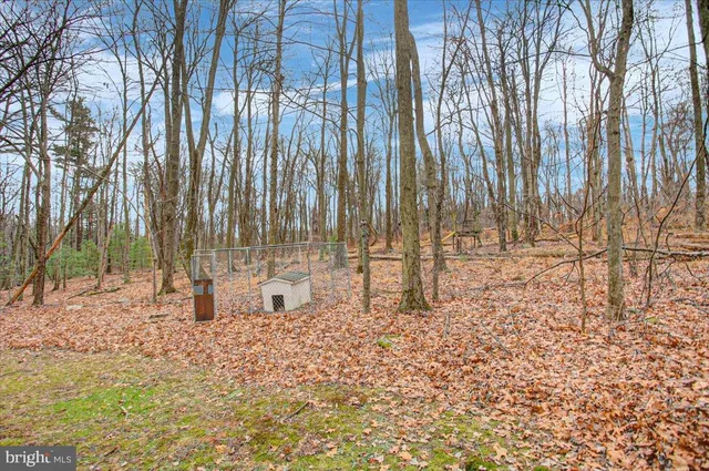 a view of three yard with trees