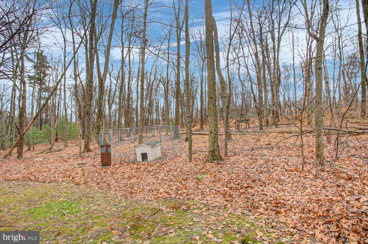 10744 Coral Ridge Road Fayetteville, PA 17222 - Photo 35 of 40 a view of three yard with trees
