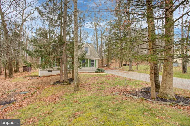 a view of yard with trees