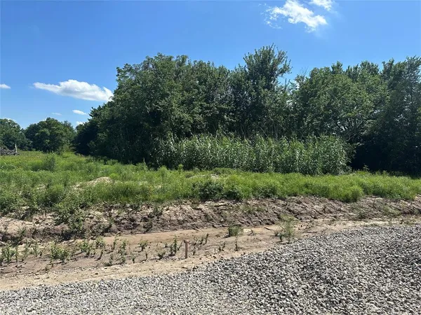 a view of a garden with a house